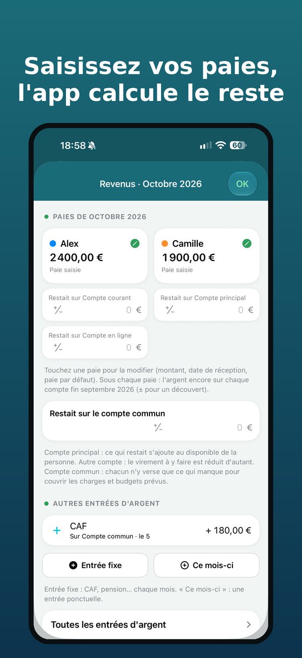 Saisissez vos paies, l'app calcule le reste : revenus du mois